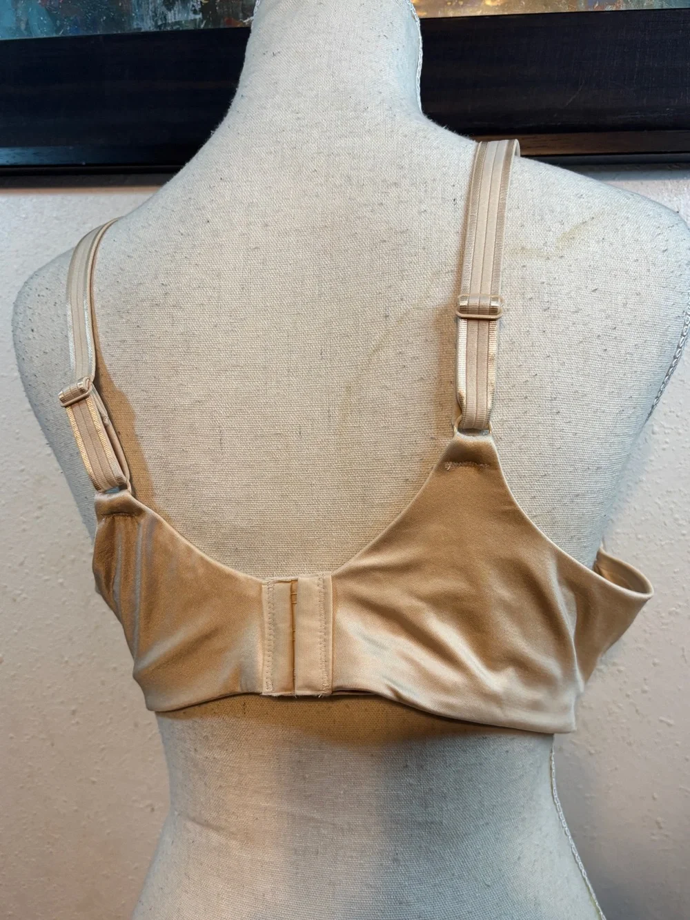 Bali Smooth Nude T-Shirt Bra - Champagne Beige